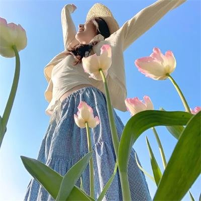 海棠依旧